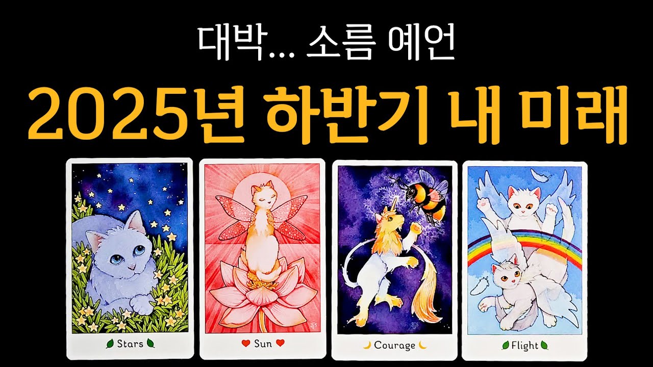 [타로] 2025년 하반기 나의 미래🙏