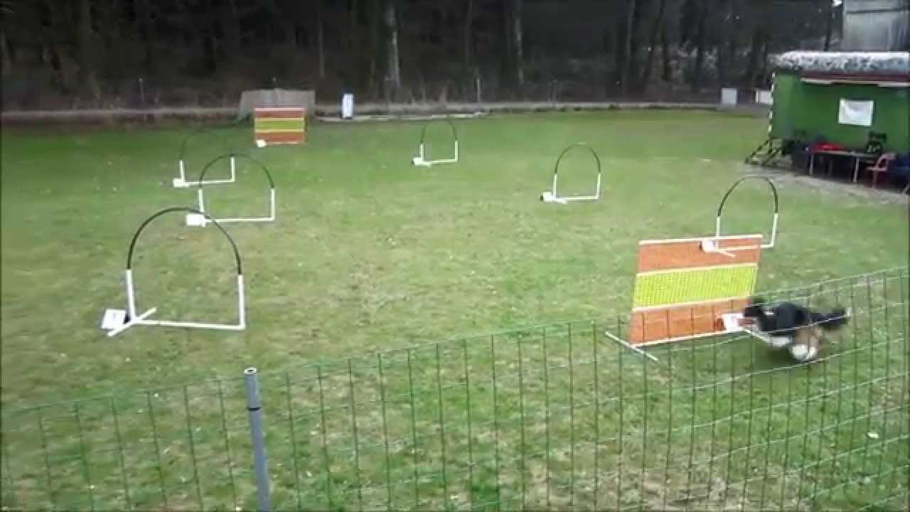 Hoopers-Training 27.3.2015