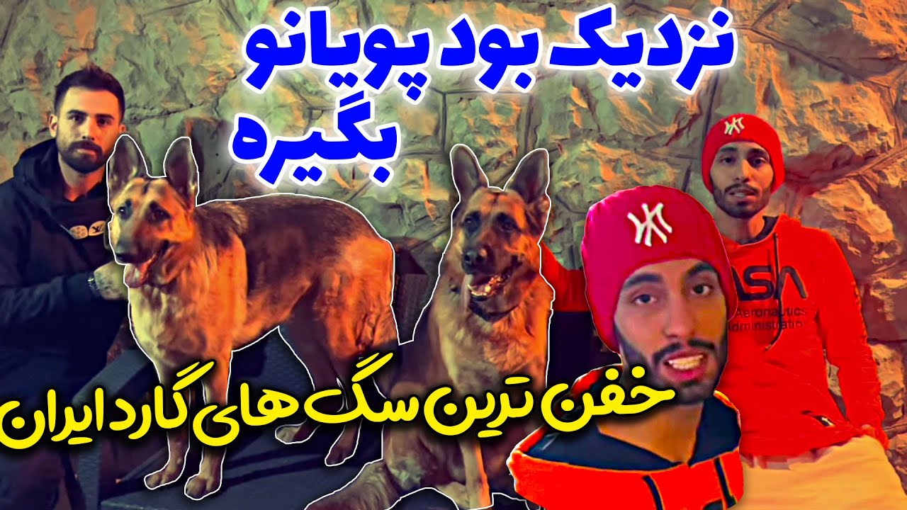 خفن ترین سگ های گارد ایران 😱😳 نزدیک بود پویانو بگیره