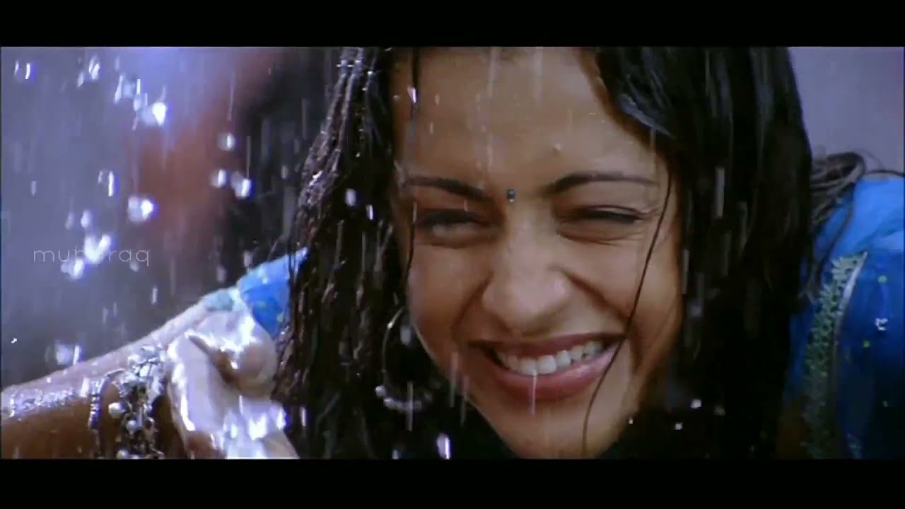 Thadakku Thadakku 1080p Video Song HD (High Quality audio) | Aathi | Vijay  | Trisha | Vidyasagar |