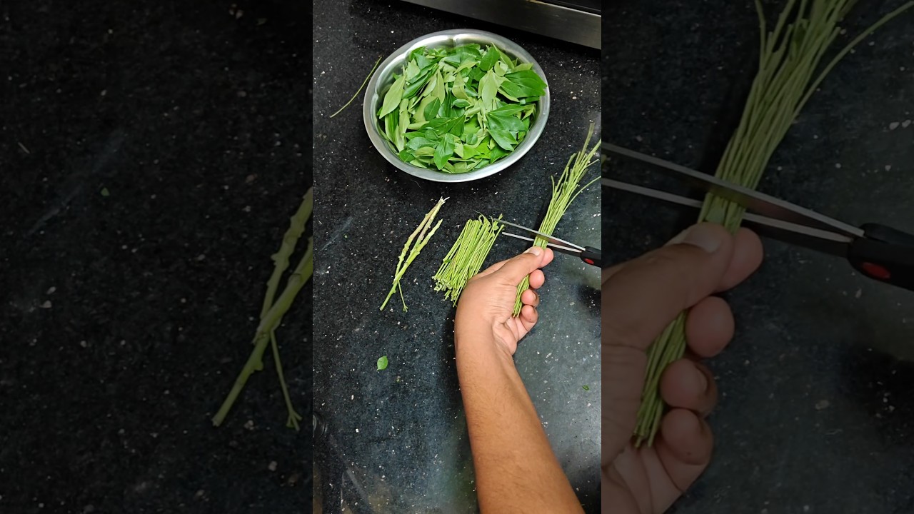Try this idea🤔 wait for end #trendingshorts #viralvideo #reuseideas #reuse #curryleaves #food
