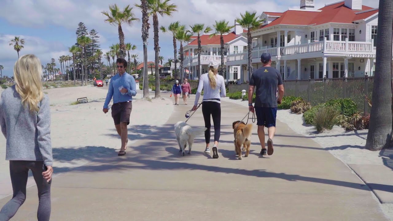Free Stock Footage People Walking Talking