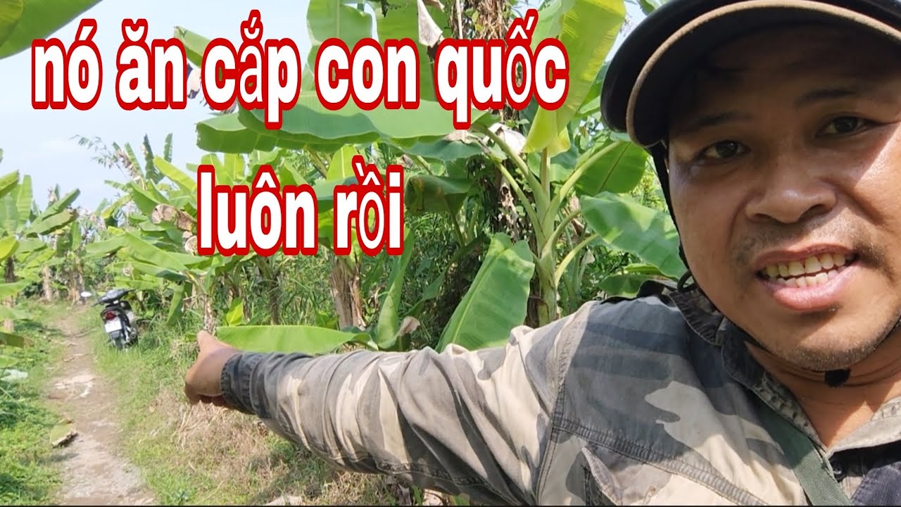 hôm nay đi bẫy quốc được một kèo để ngoài xe mà cũng bị bọn ác ăn cắp mất tiêu luôn