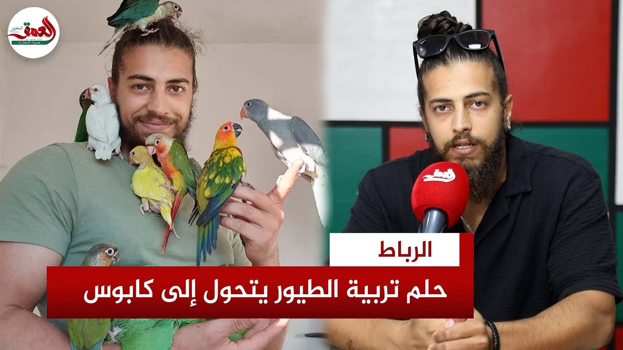 سنوات من الحب والرعاية تنتهي بالمصادرة..المياه والغابات تحجز 132ببغاء من شاب والأخير يطالب بالمصالحة
