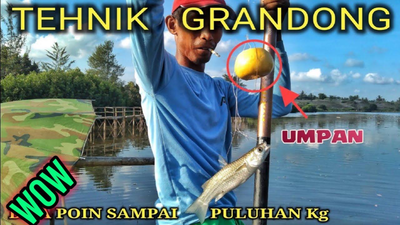 Mancing belanak tehnik Grandongan | Auto panen raya