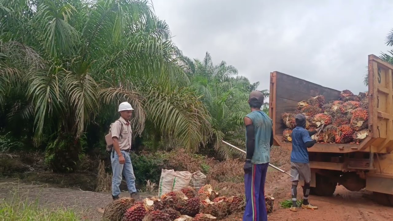 Tetap semangat muat