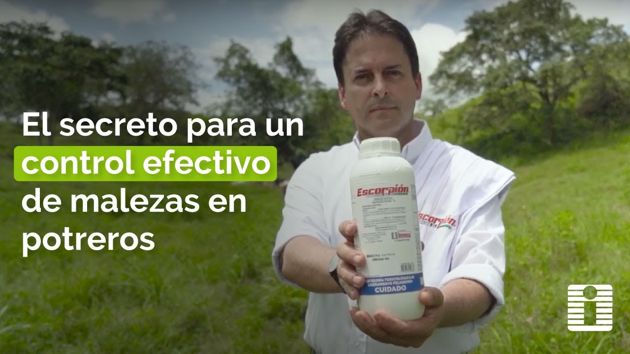 🌱AGROINVESA | TIPOS DE MALEZAS EN POTREROS 🌿🚜 ¿CÓMO CONTROLARLAS?