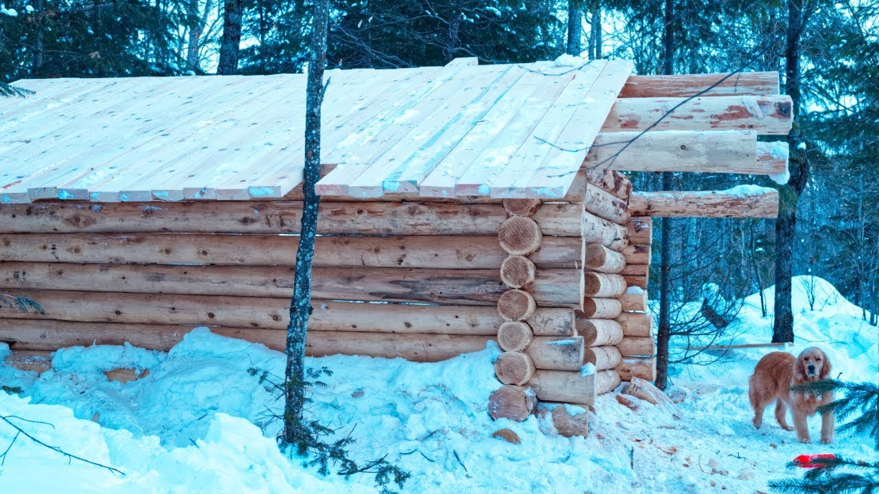 How to Build an Off Grid Log Cabin | Purlins and Roof| Lake Trout Stew | Cast Iron Cooking