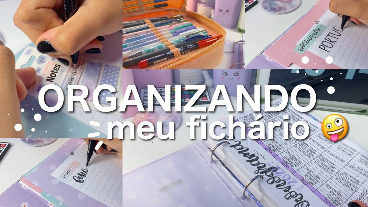 ORGANIZANDO MEU FICHÁRIO PARA O VOLTA AS AULAS 😱🤓📚