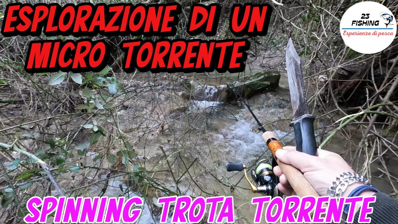 Esplorazione di un Micro Torrente: che Sorpresa!