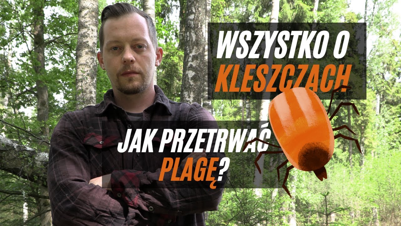 KLESZCZE: Jak przetrwać plagę i nie zwariować?