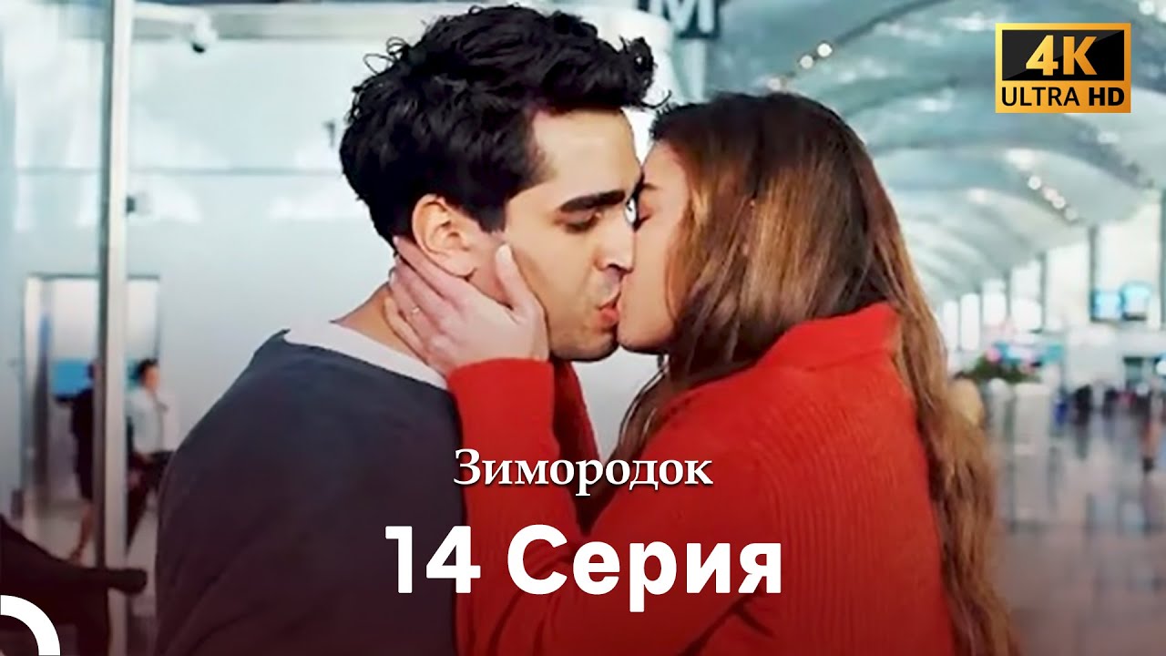 Зимородок 14 Cерия (Русский дубляж) (4K)