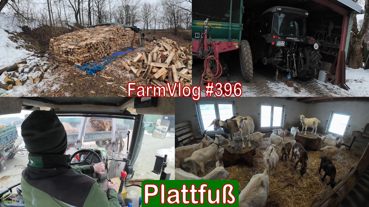 Farmvlog #396: Die Luft ist raus
