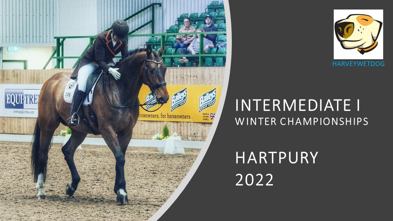 THEY ABSOLUTELY NAILED IT! BECKY MOODY AND JAGERBOMB INTER I  GOLD DRESSAGE TEST HARTPURY 2022