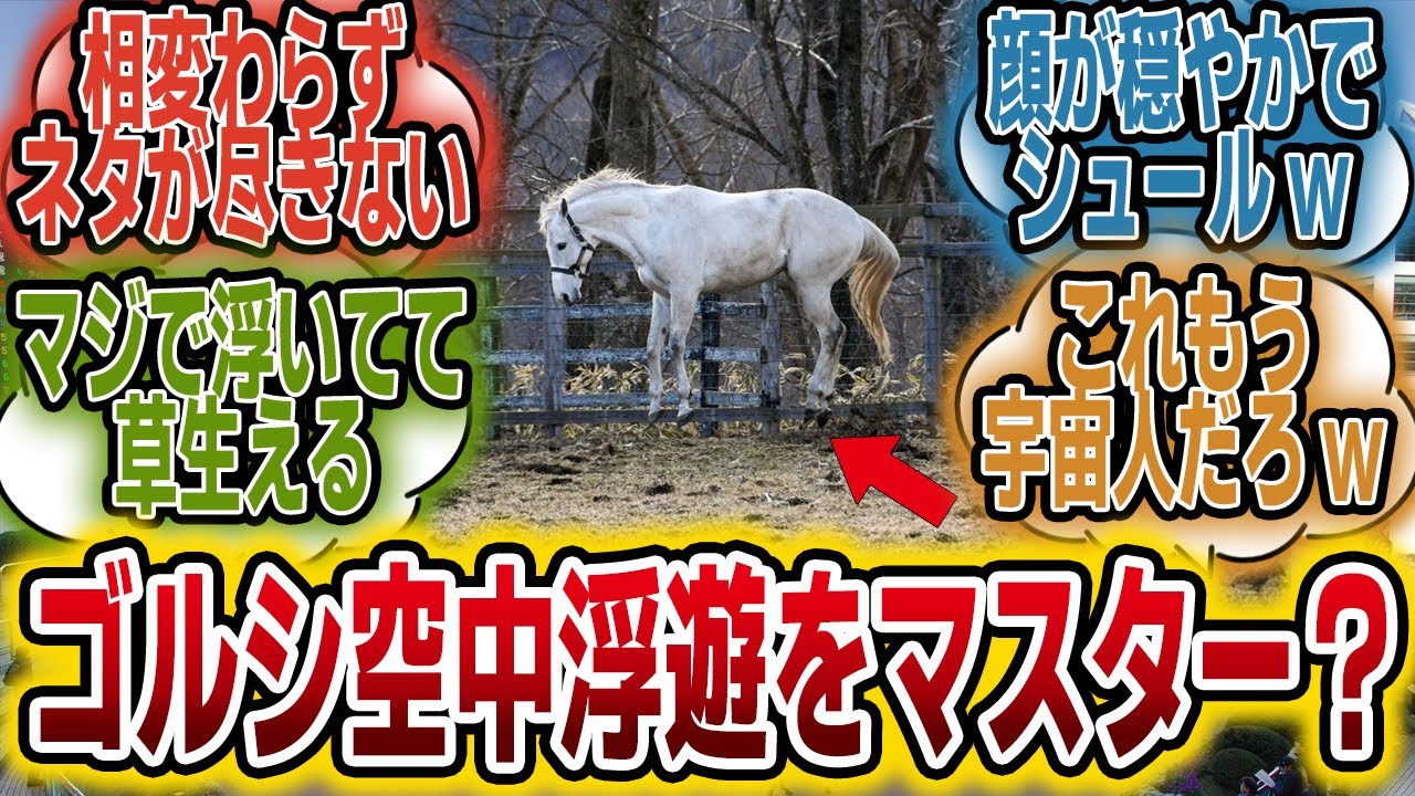 「ゴールドシップさん、ついに空中浮遊をマスター？www」に対するみんなの反応【競馬の反応集】