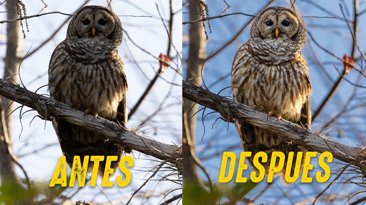 Rescata fotos MALAS editándolas así ... Lightroom Classic