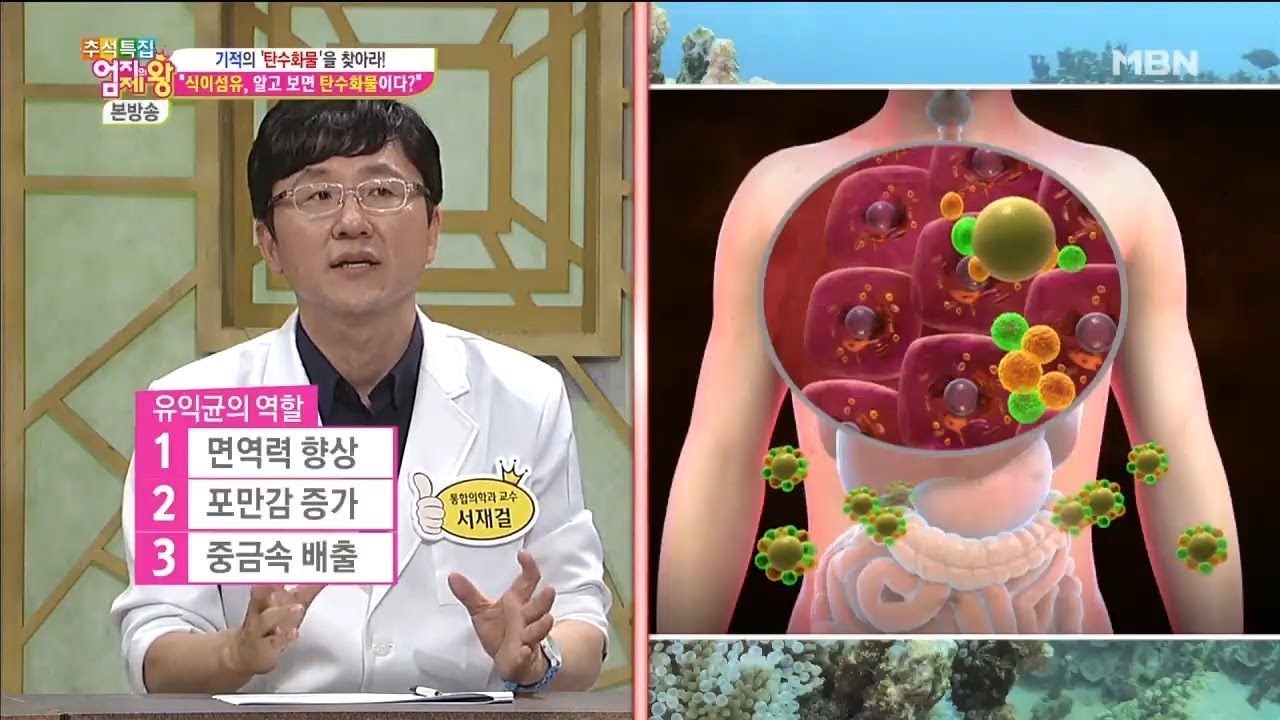 몸 속 유익균들이 면역력을 향상시킨다 [엄지의 제왕 143회]
