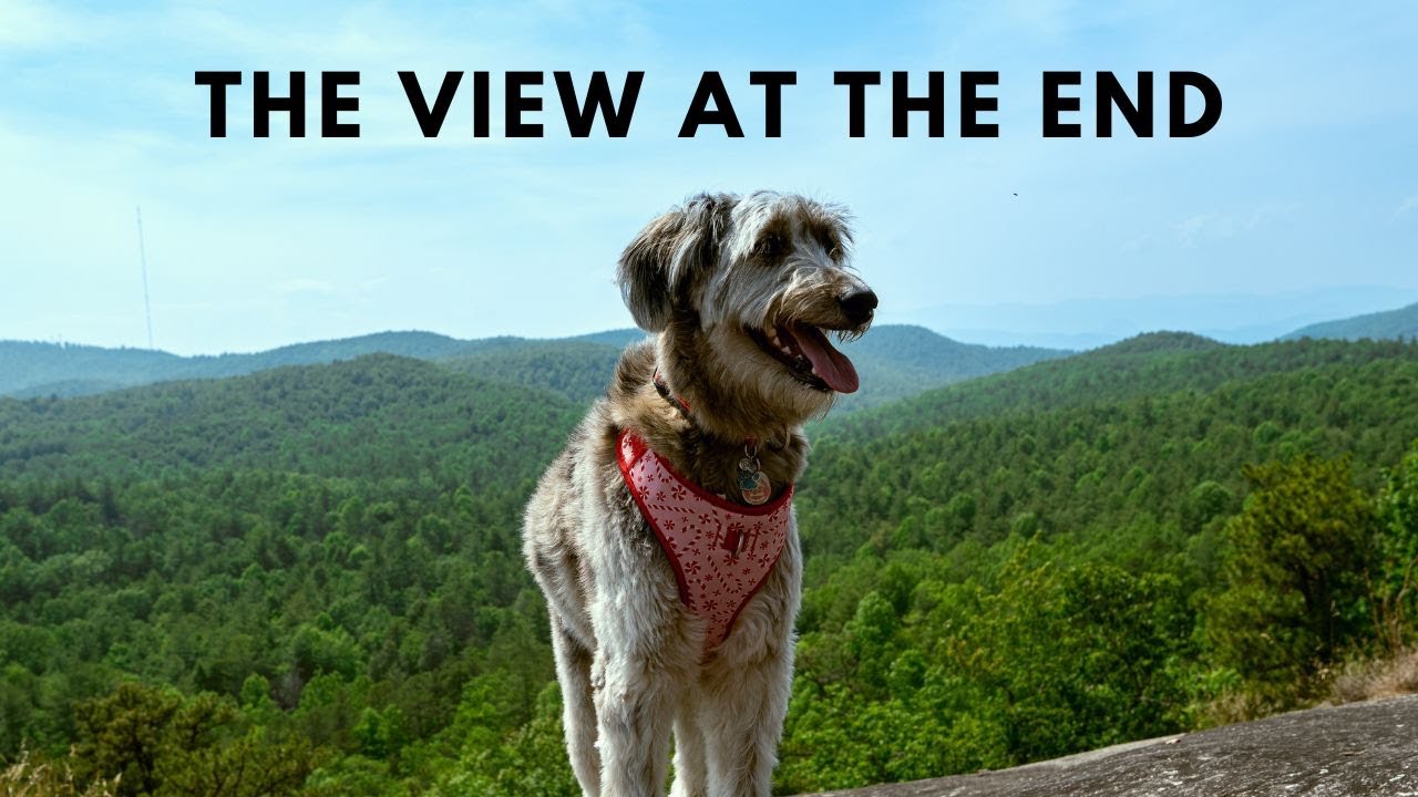 From Lush Forest to Mountain Views | Hiking DuPont State Forest with Riley