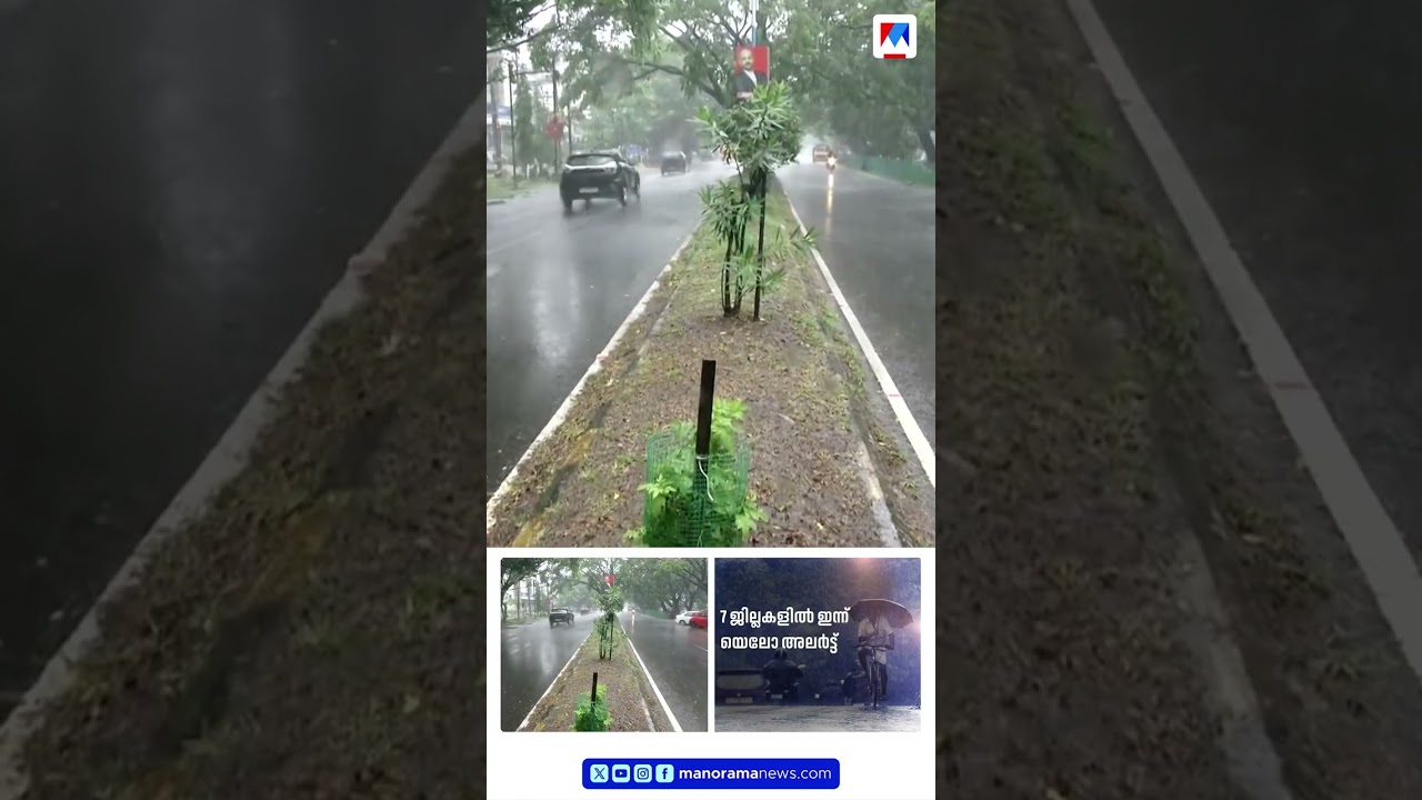 Heavy Rains Across the State; Yellow Alert for 7 Districts, Possibility of Strong Winds #KeralaRa...