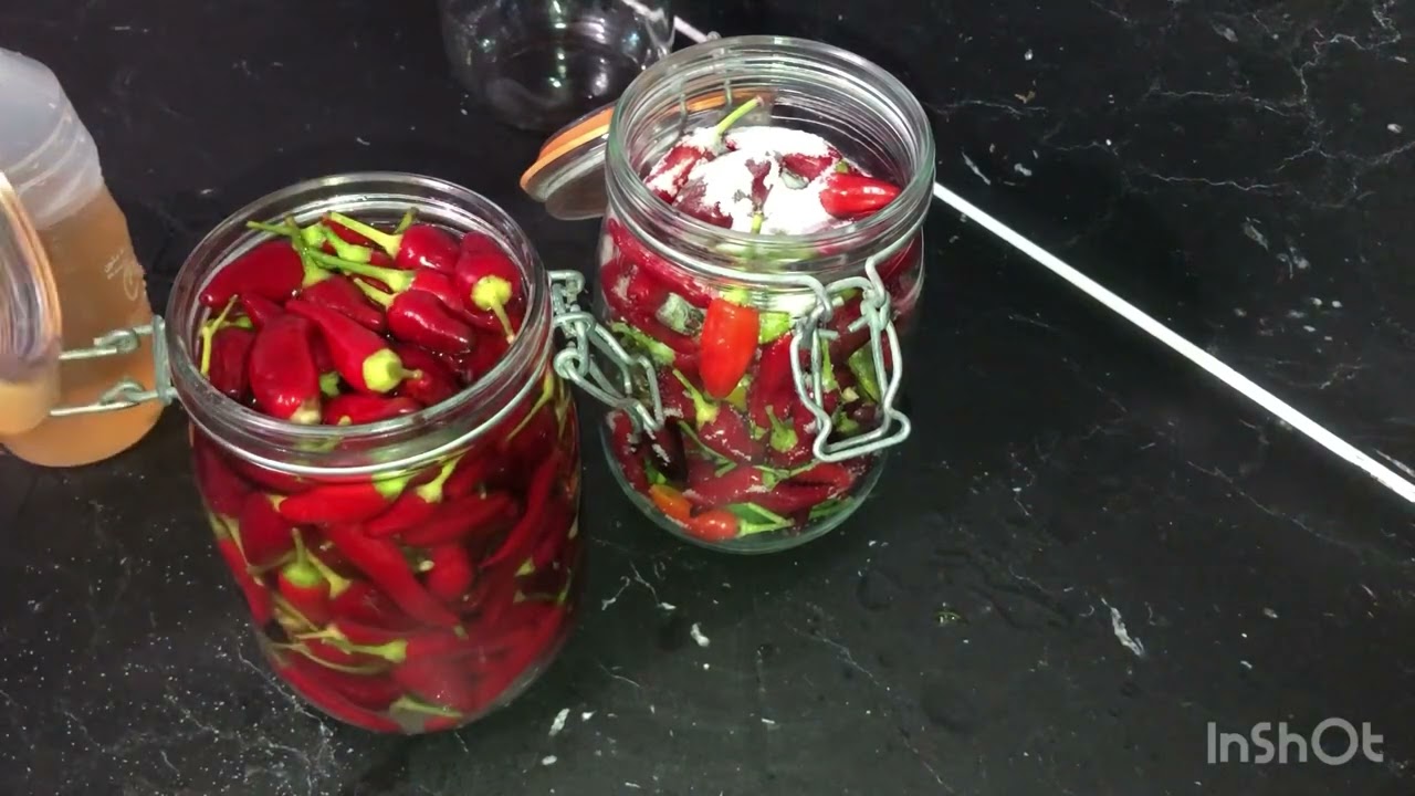 Pickles de piment rouge (au vinaigre blanc) 🌶️🫙