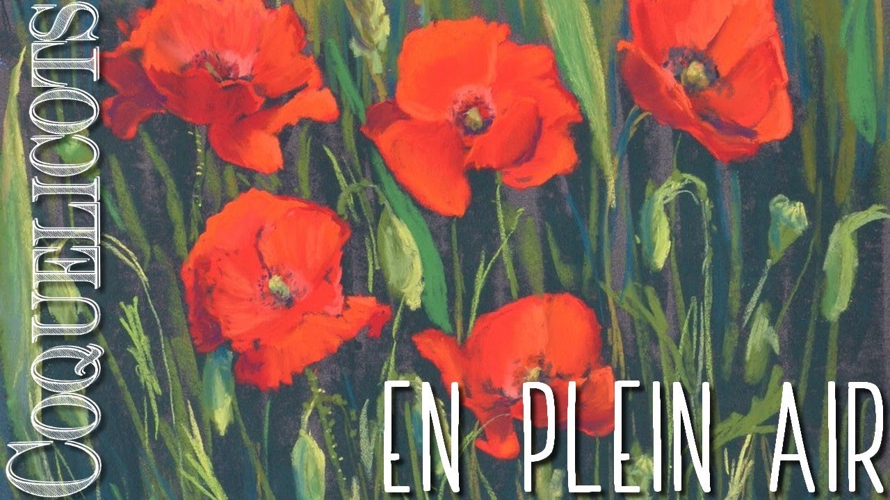 🌸 Pastel sec : Les Coquelicots