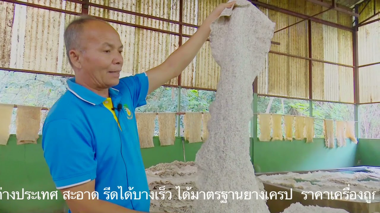 ขบวนการผลิตยางเครปบาง1- 2 มม. แห้งไวต้นทุนต่ำรีดบนเทคโนโลยีที่ดีที่สุด คุณจะได้เห็น ไปดู