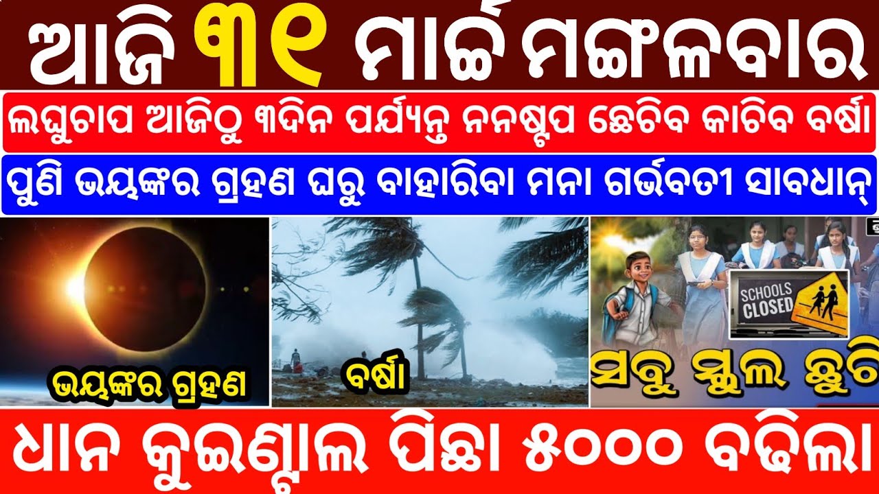 Today's Odia News/31 March 2026/Odisha News Today/PM Kisan Yojana/Subhadra Yojana/odisha news