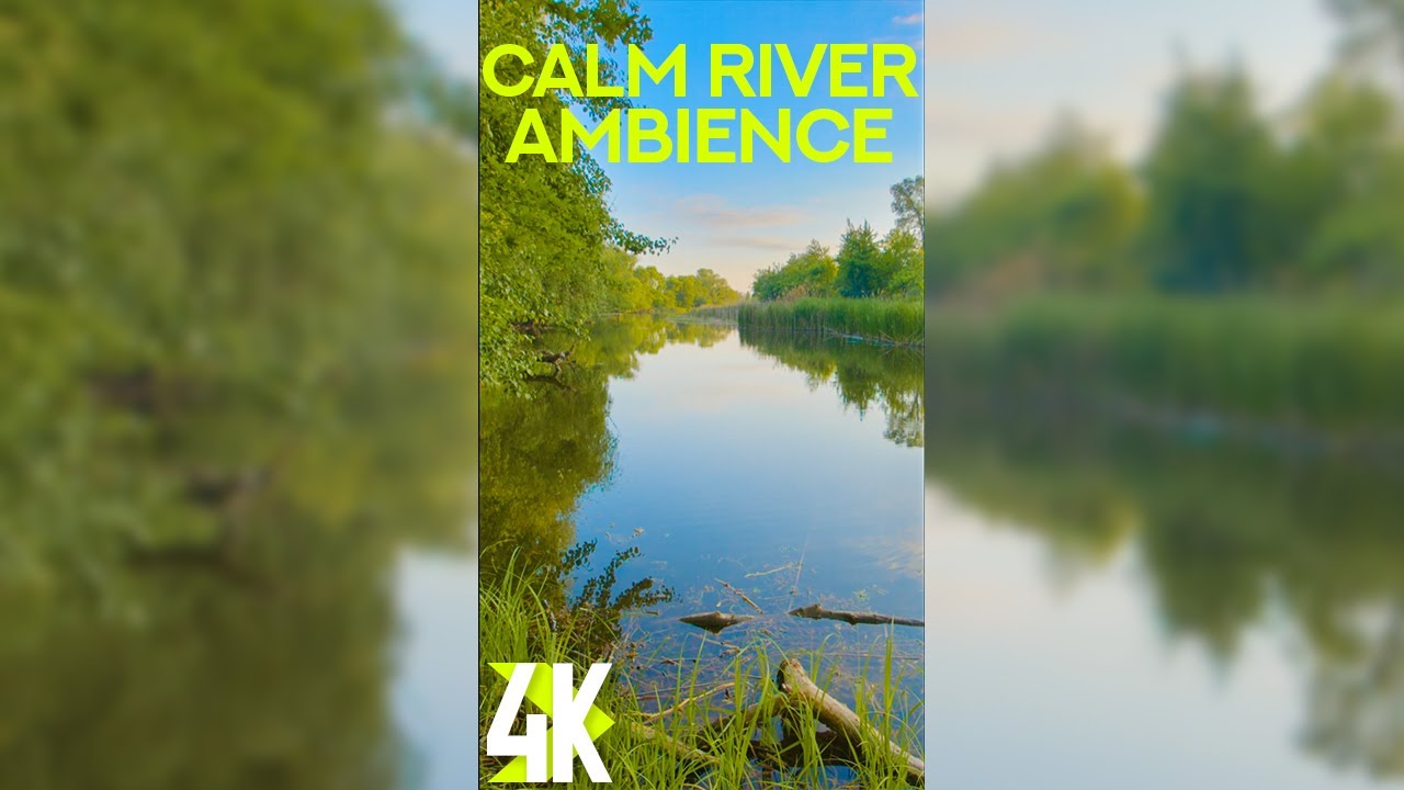 Calm River Ambience for Vertical Screens 4K - 3 HRS Beautiful Scenery & Nature Sounds