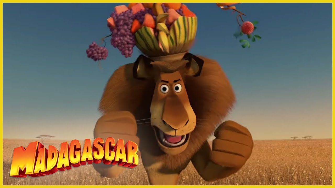 DreamWorks Madagascar en Español Latino | Sorprendido de verme | Madagascar  Escape 2 África