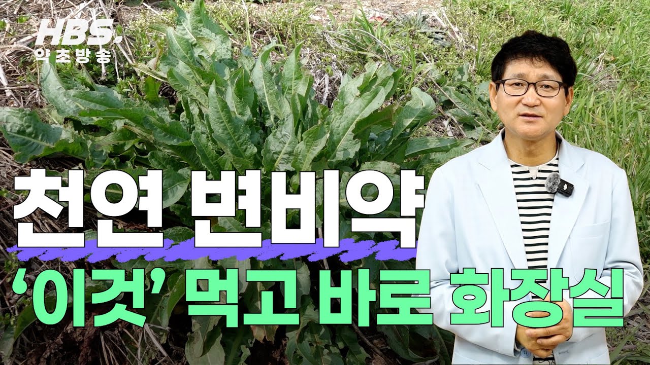 천연 변비약 '이것'먹고 바로 화장실