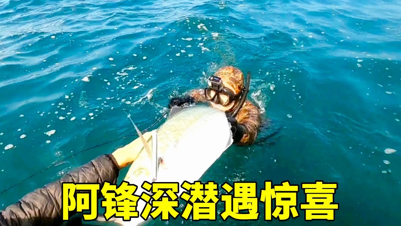 阿锋深潜遇惊喜，猛货接连上，船上海鲜堆积成小山【探海漁人】
