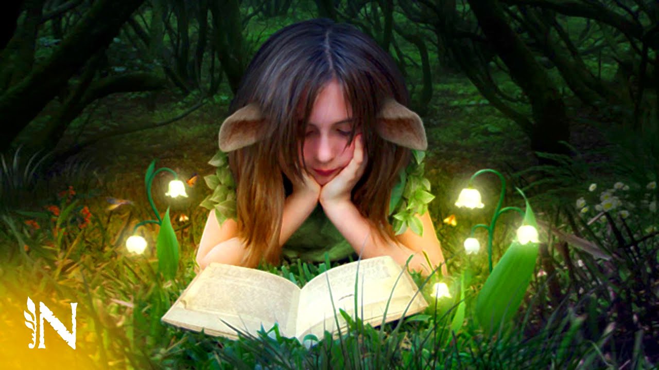La enciclopedia de las Hadas, los Elfos y los Gnomos | Biblioteca Mágica | Naturnia