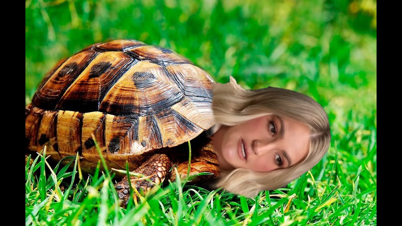 Jamie LA TORTUGA Lynn Spears saca libro DESTROZANDO a Britney