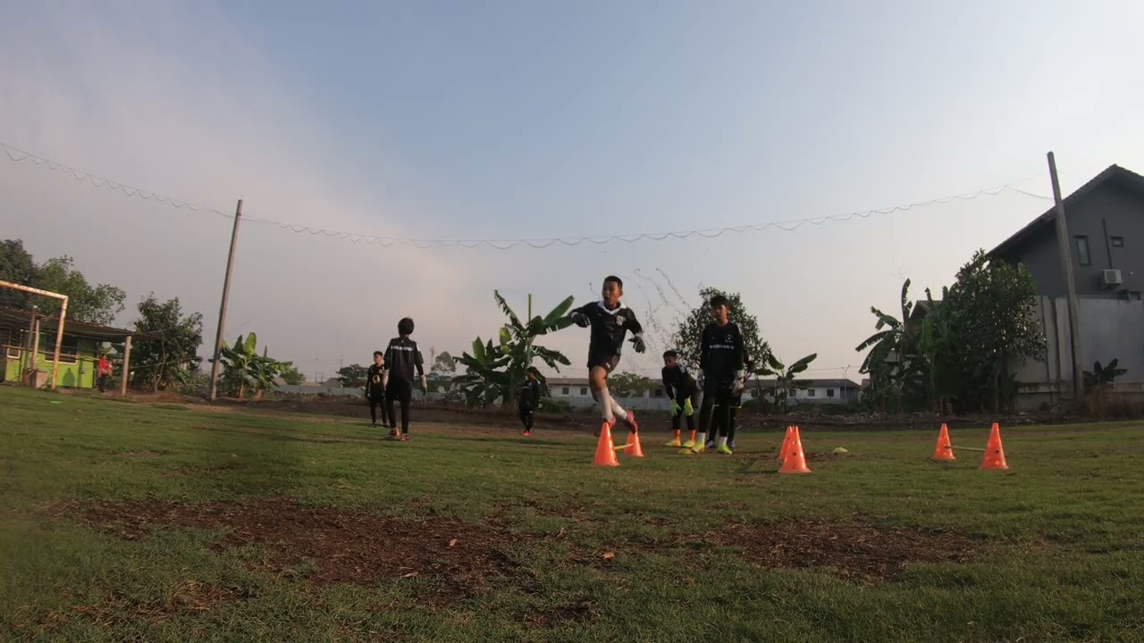 46TRAINING16022569#3