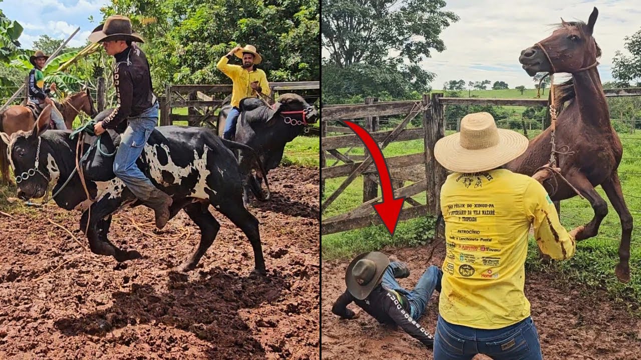 2 QUEDAS FEIA NO MESMO DIA, NA DOMA DOS ANIMAIS BRAVO