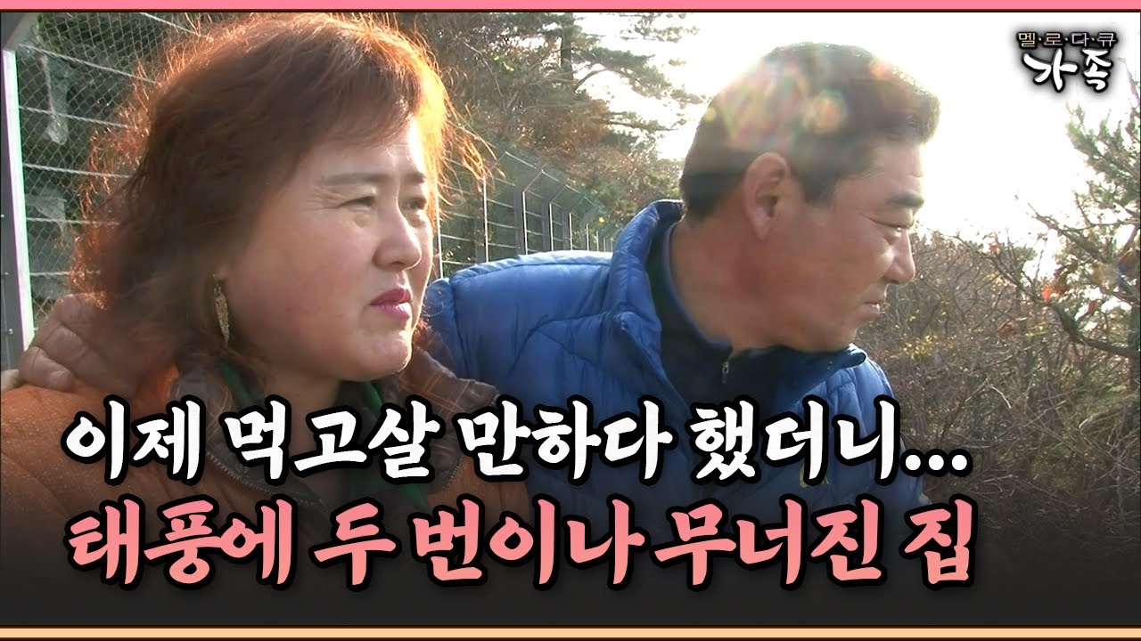 [멜로다큐 ‘가족’ 358-3] 이제 먹고살 만하다 했더니... 태풍에 두 번이나 무너진 집
