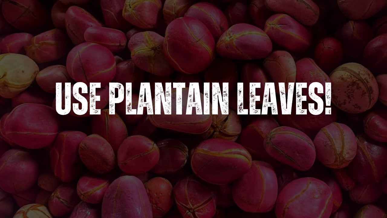 How to Preserve Kolanut (Oji) ft Madame Florence Nwanyi Ozubulu (Igbo Version)