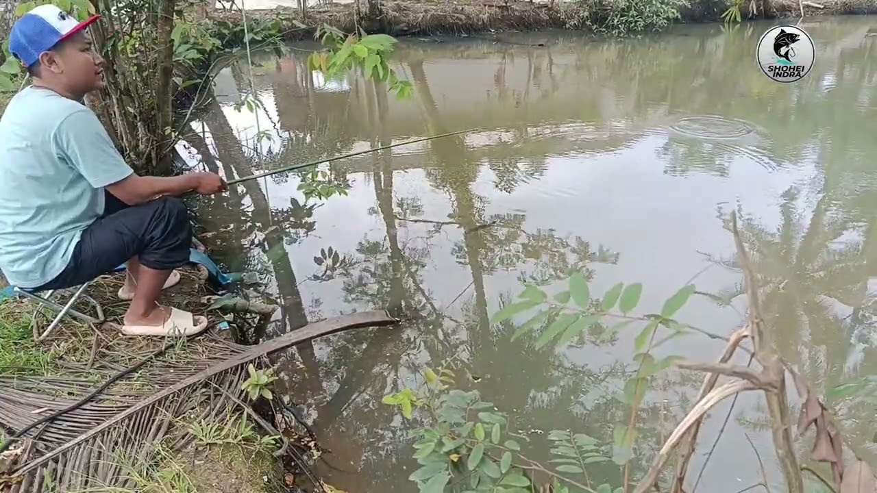 EPS 79 . TIDAK MEMENTINGKAN HARUS BISA MENDAPATKAN IKAN, HANYA MENGISI WAKTU LUANG SAJA