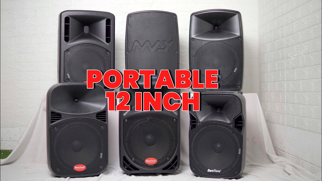 Line up loudspeaker portable BareTone 12inch