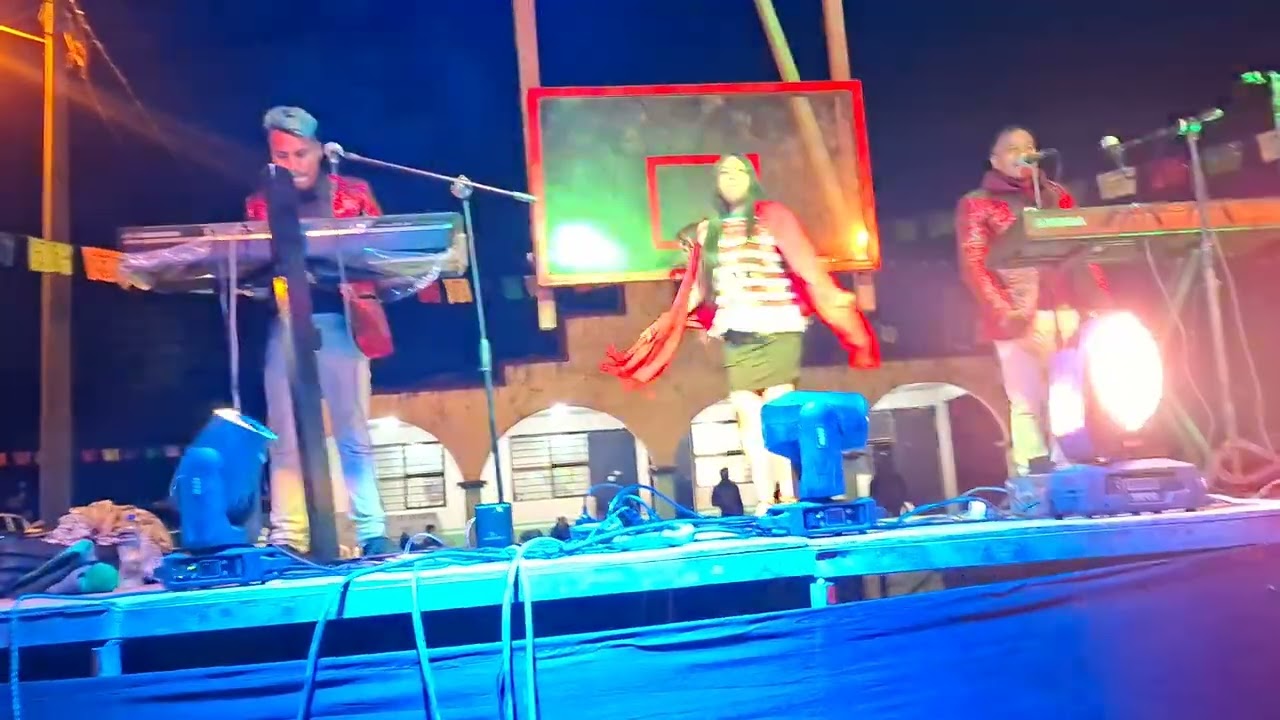 El tecladista que solicitado en la región de la montaña saul y su organo visión musical  el tejocote