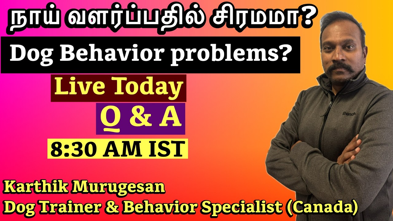 LIVE Dog Training Q&A (Tamil) | Common Owner Mistakes & Behaviour Problems
