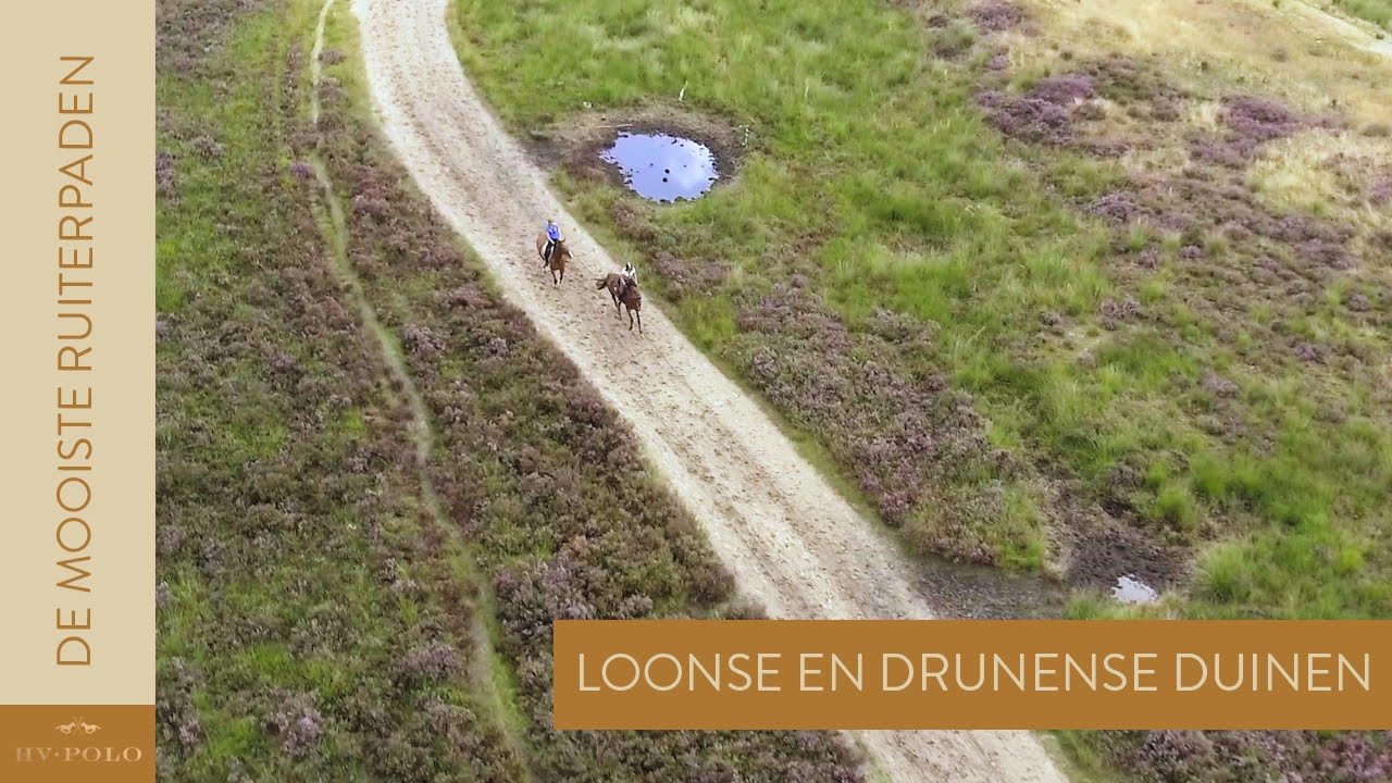 De Loonse en Drunense Duinen | De Mooiste Ruiterpaden van Nederland #1