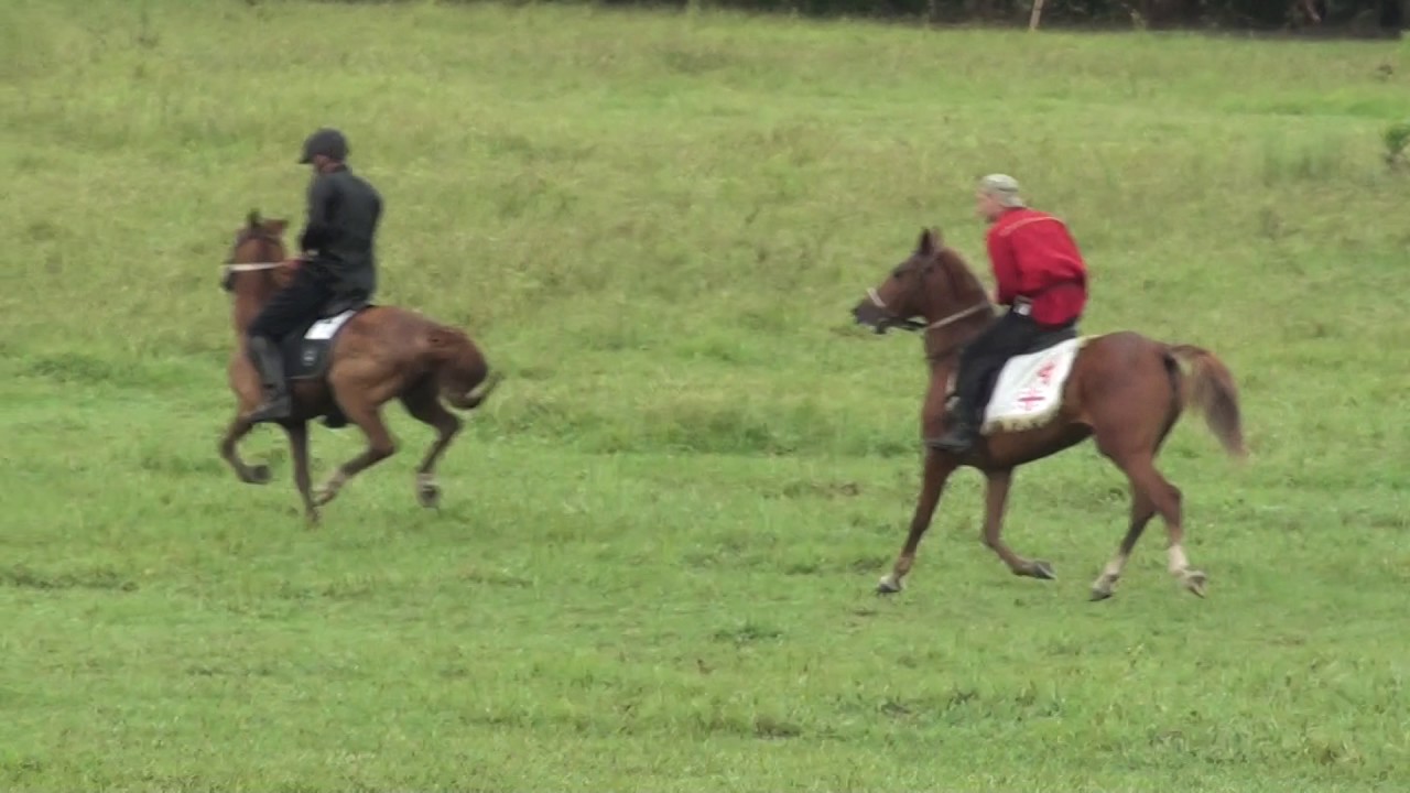 samtredia poti isindi 2012 celi