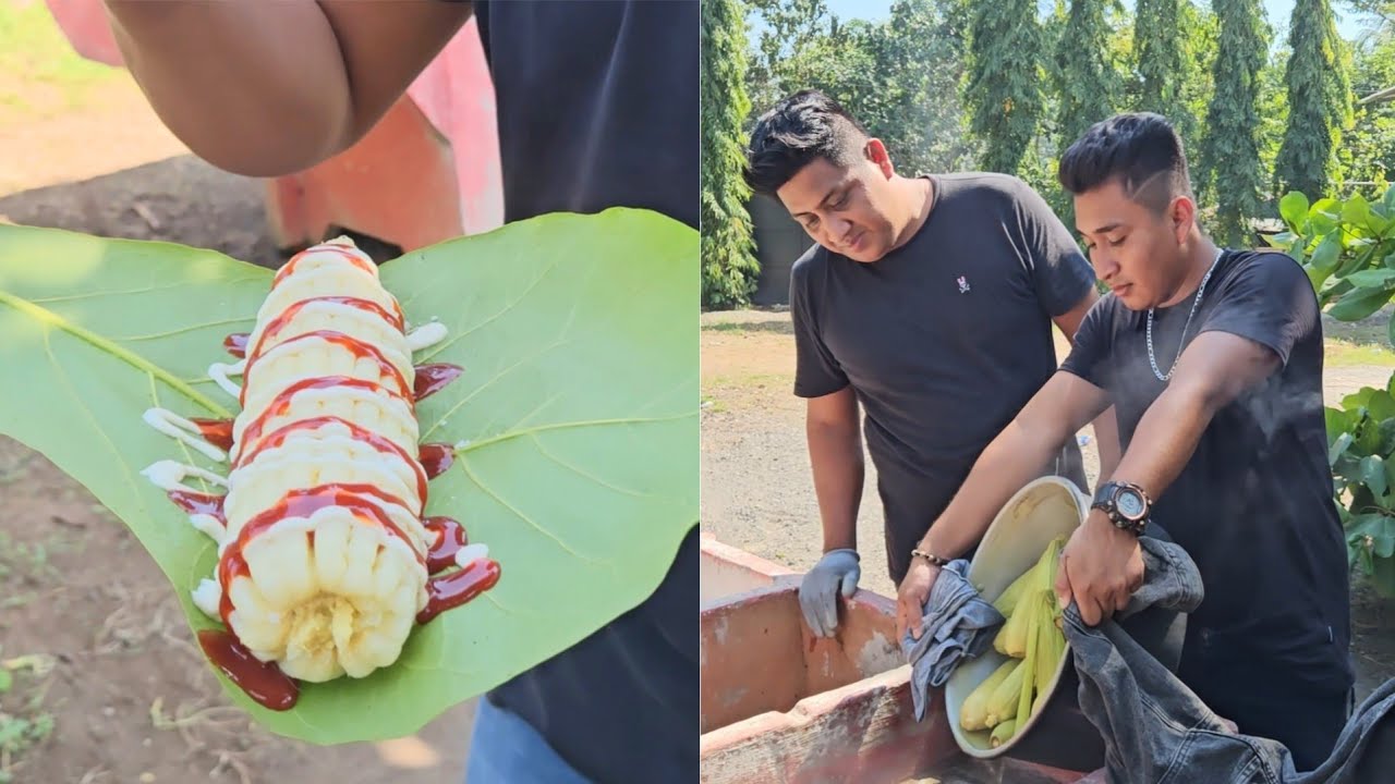 Asi nos quedaron los Elotes locos. Una receta muy extraña, 