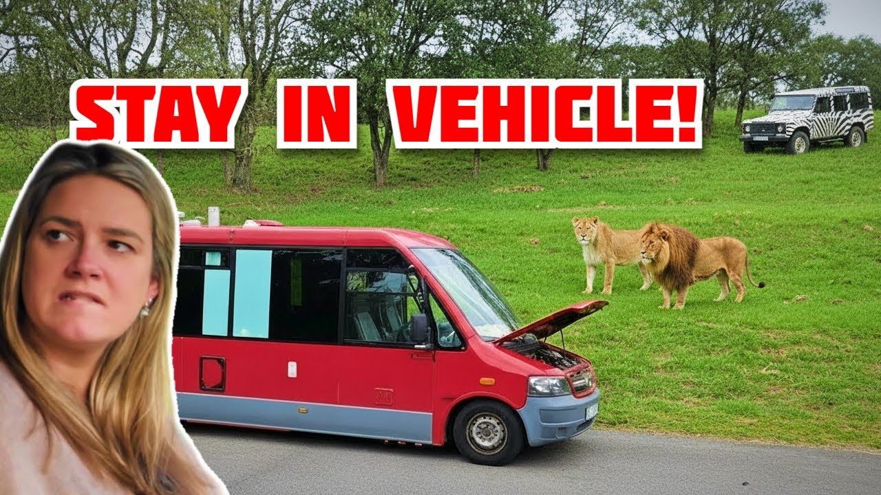 Наш автобус ПРОВАЛСЯ на сафари с автопроездом! | Vanlife Challenges