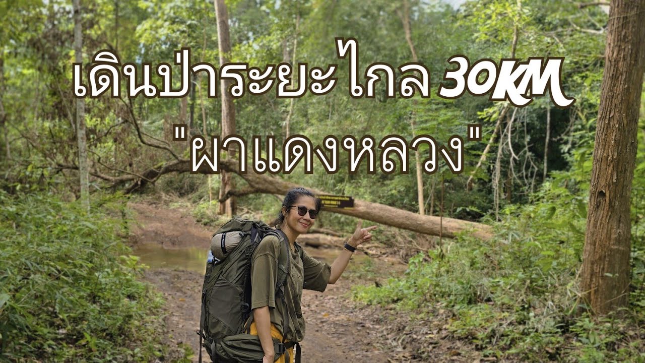 เส้นทางใหม่ที่สวยงาม! #ผาแดงหลวง #อุทยานแห่งชาติแม่ปิง #nature #เดินป่า #camping #เส้นทางการเดินทาง