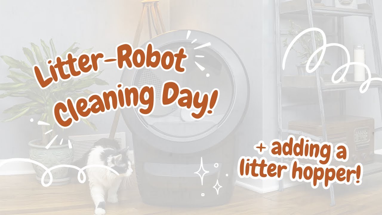 Giving our Litter-Robot an upgrade!✨