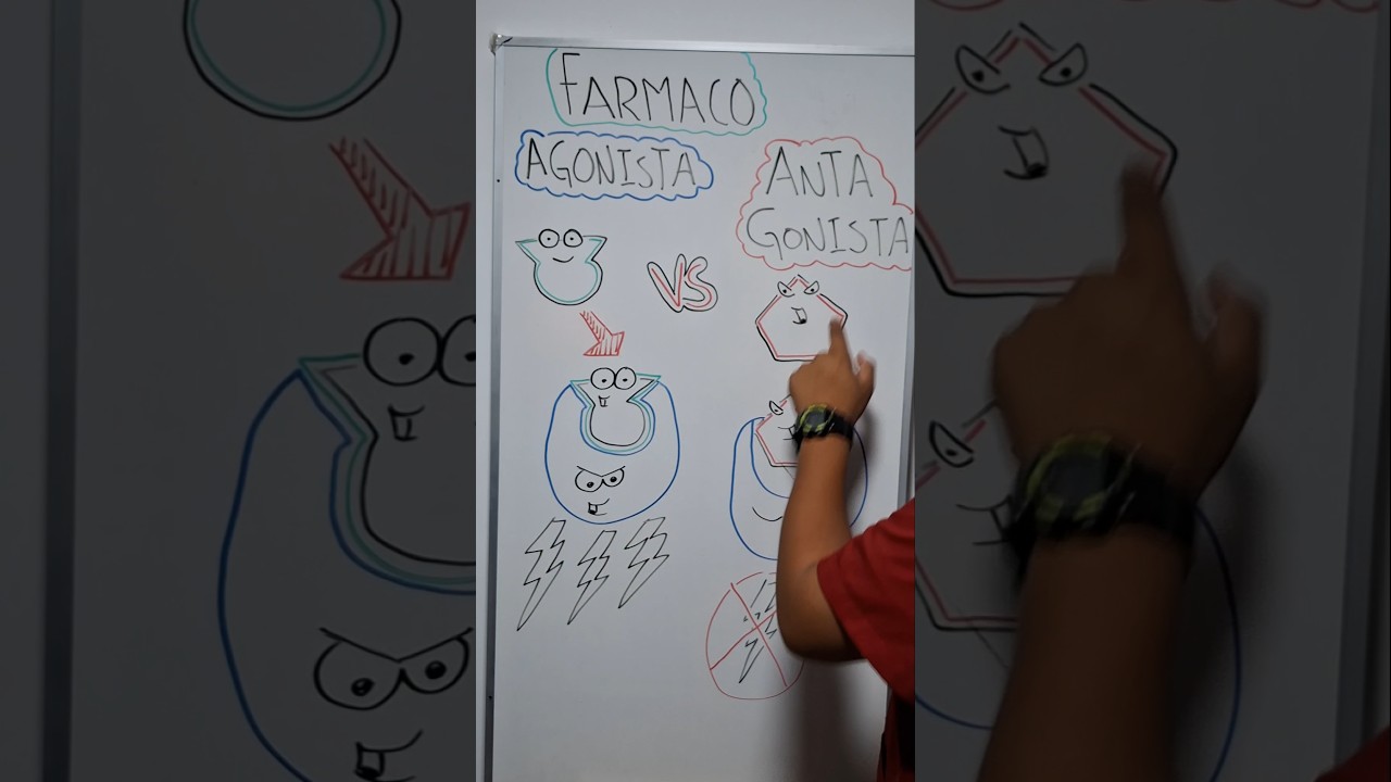 FARMACO AGONISTA/ANTAGONISTA🔵🔴🤔💊#bajavets #animals #vet#farmacologia #agonista #antagonista