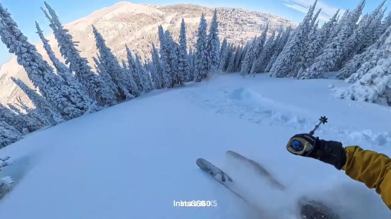 Skiing 