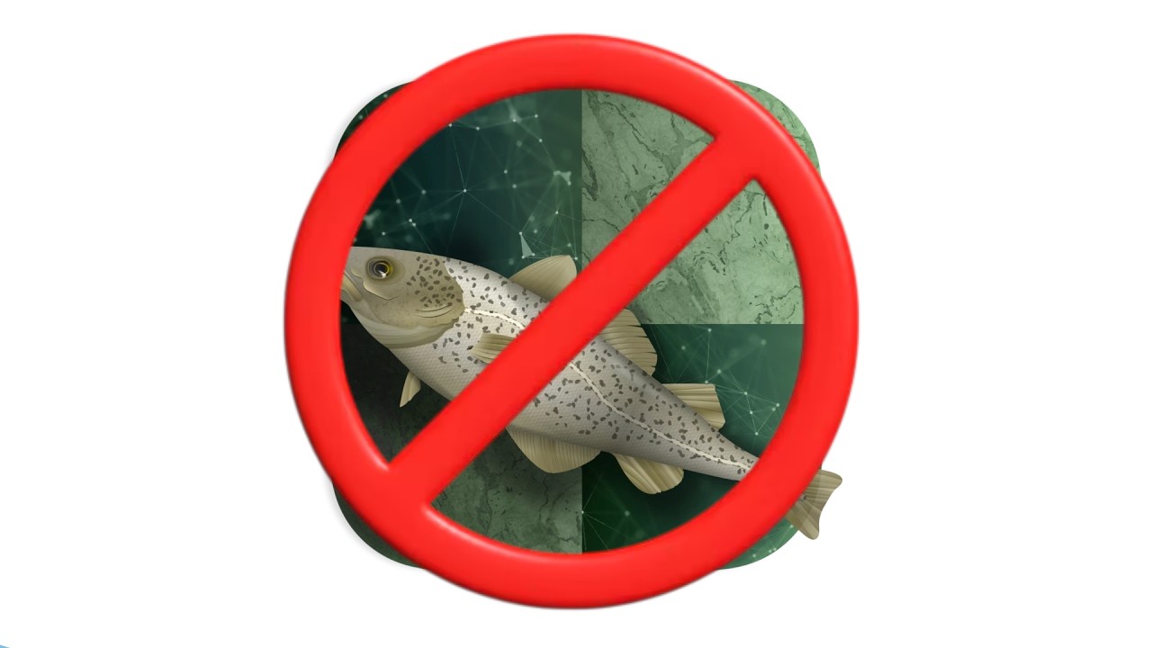 Stockfish NEEDS an UPDATE!!!